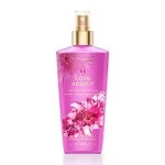 Victoria secret best sale love addict review